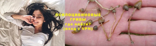 дживик Арсеньев