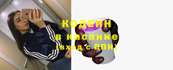 дживик Осинники
